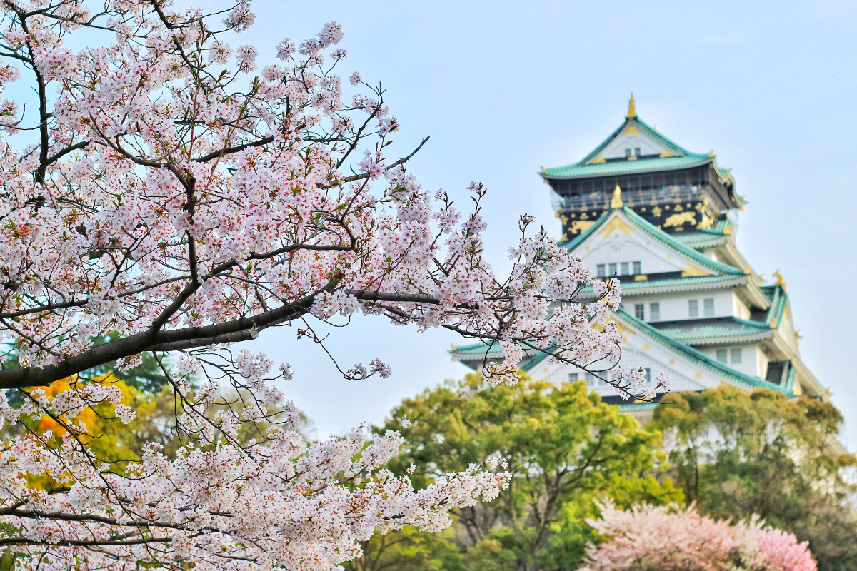 大阪城と桜の木